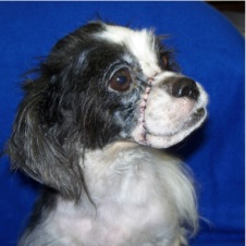 Angel 53280 3-30-07 005