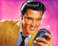 BIGelvis